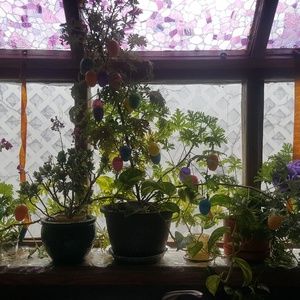 Meet your Posher, Theresa