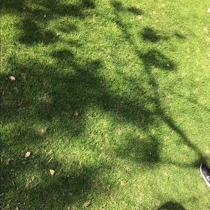 Meet your Posher, Juliana