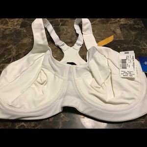 36 dd sports bra