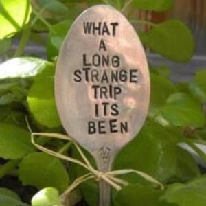 Meet your Posher, Candace h.