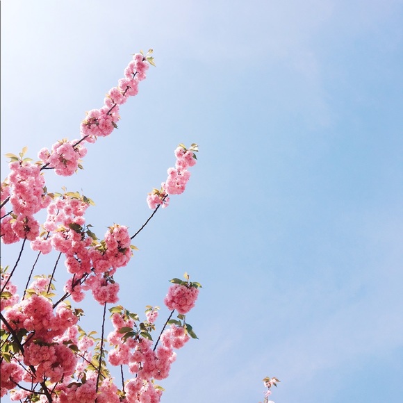 🌼 Meet the Posher: Caroline 🌼 - Picture 5 of 5