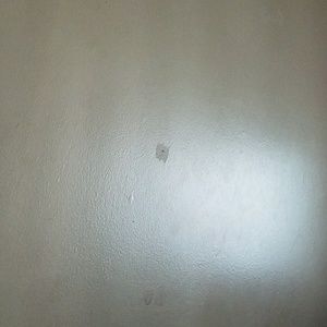 Meet your Posher, Curtis