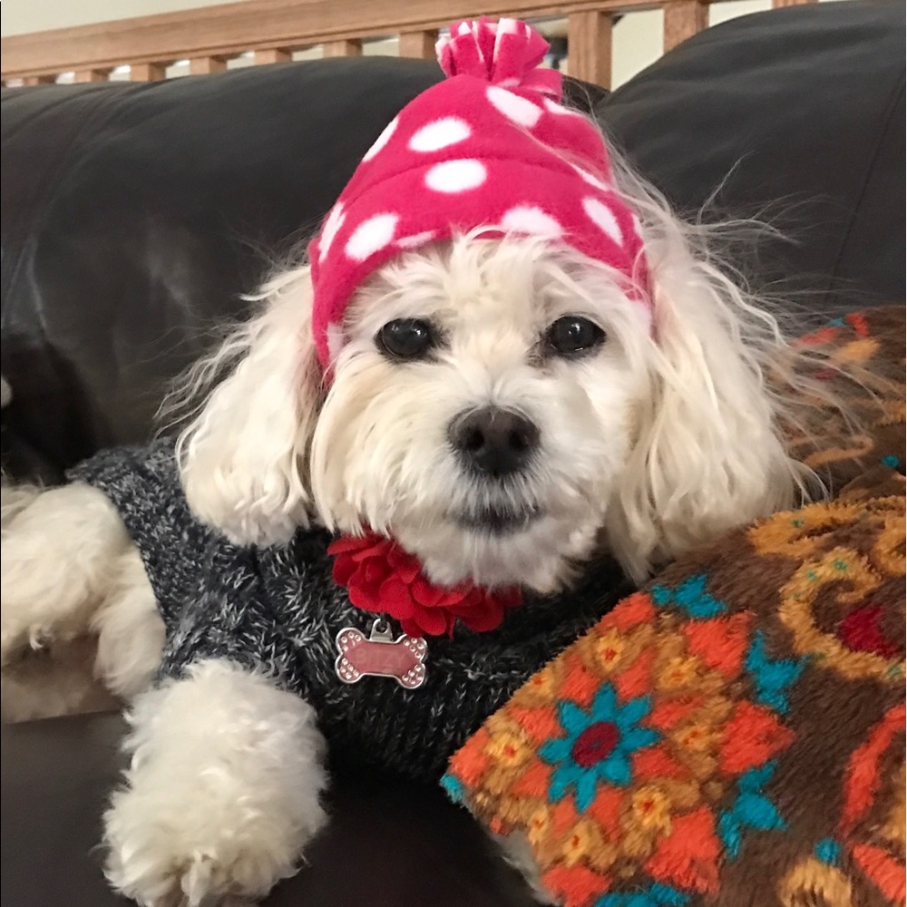 Meet your Posher, Lauren