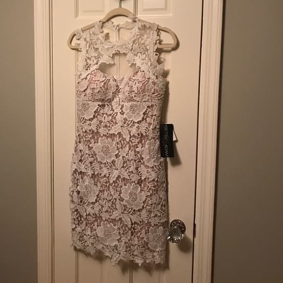 Dresses & Skirts - Lace sheer nude white dress like Self Portrait 6