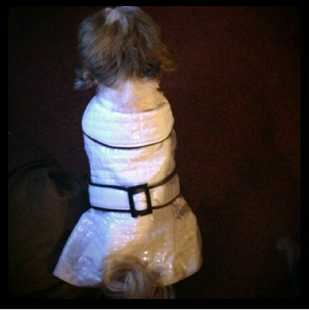 Posh pooch raincoat