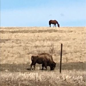 Meet your Posher, Janel