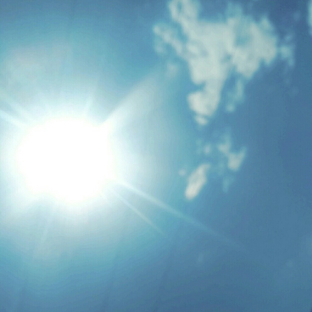 Meet your Posher, Rae