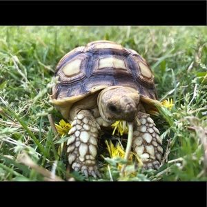 Meet your Posher, Heike