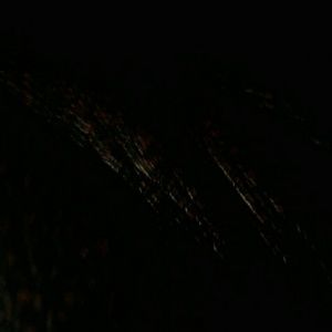 Meet your Posher, Devin