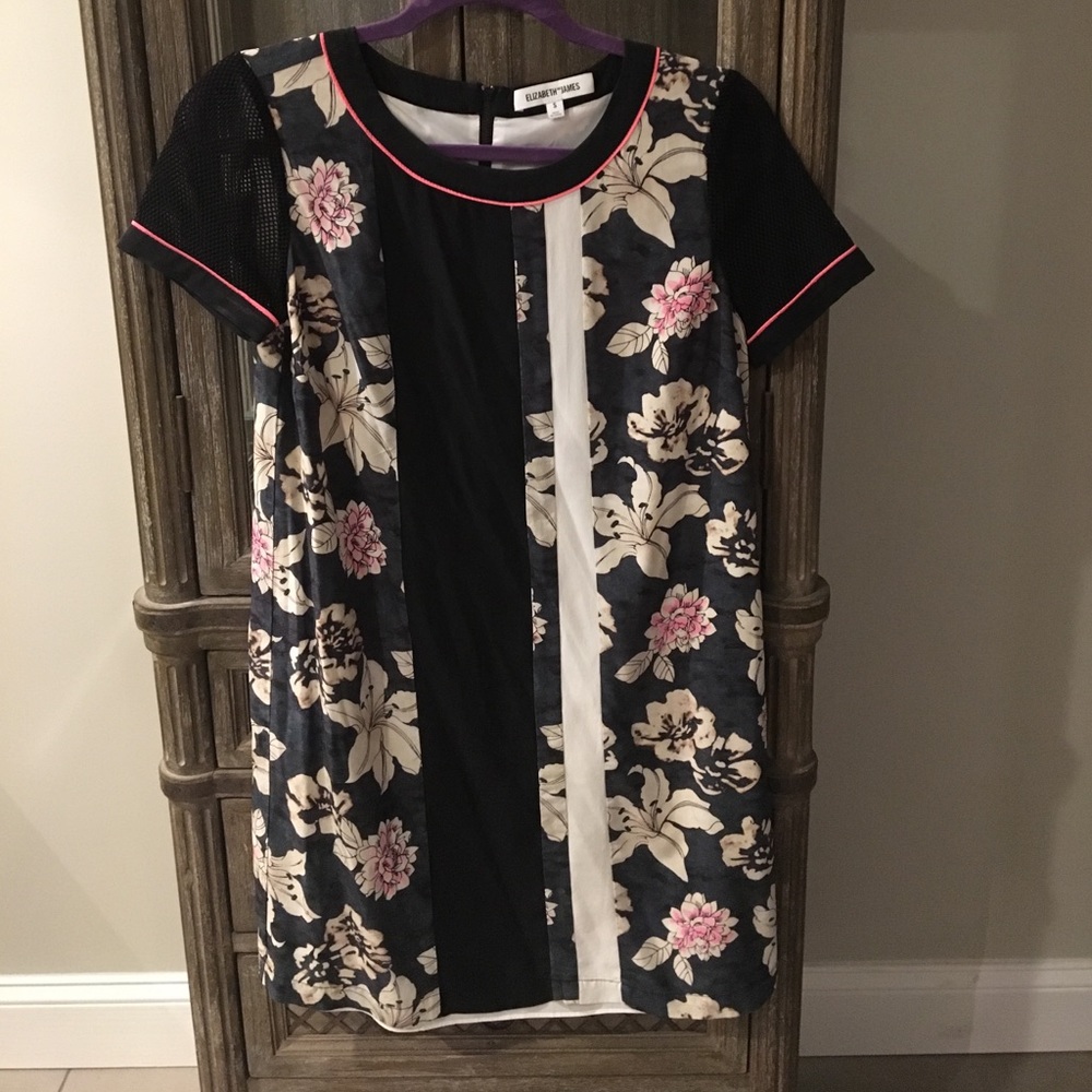 Elizabeth and James mesh sleeve dress