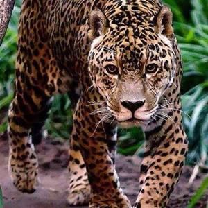 Meet your Posher, Karina