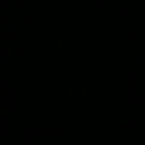 Meet your Posher, Andre