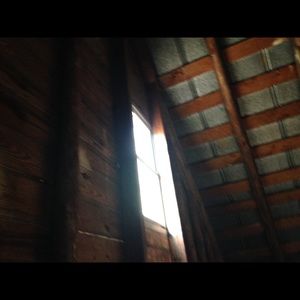 Meet your Posher, Elisabeth