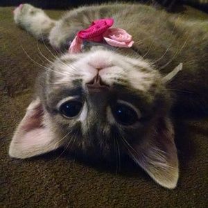 Meet your Posher, Kristin