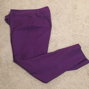 White House Black Market Pants