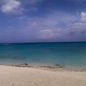 Meet your Posher, Danny