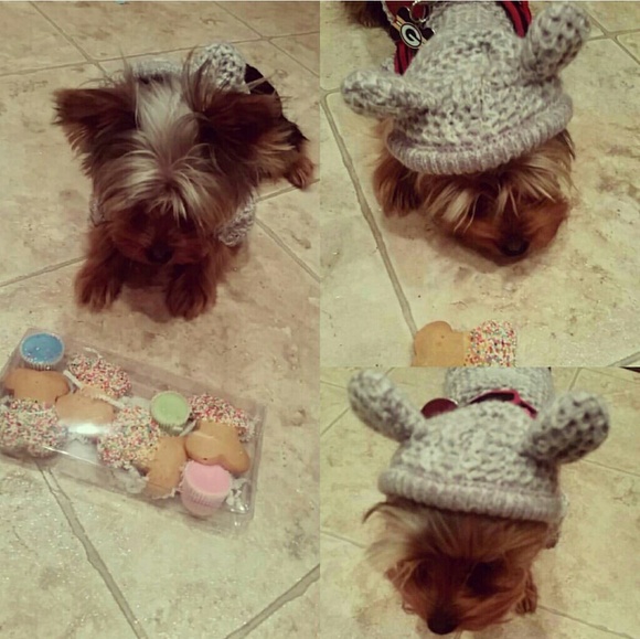 Meet your Posher, Shannon - Picture 3 of 4