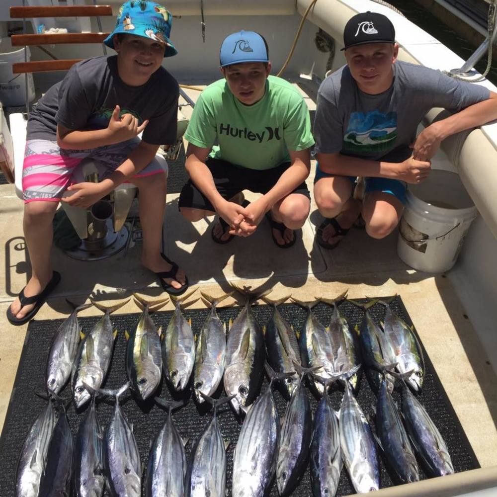 Meet your Posher, Susan