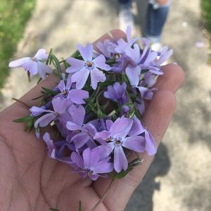 Meet your Posher, Kailey