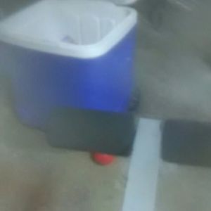 Meet your Posher, Marvin