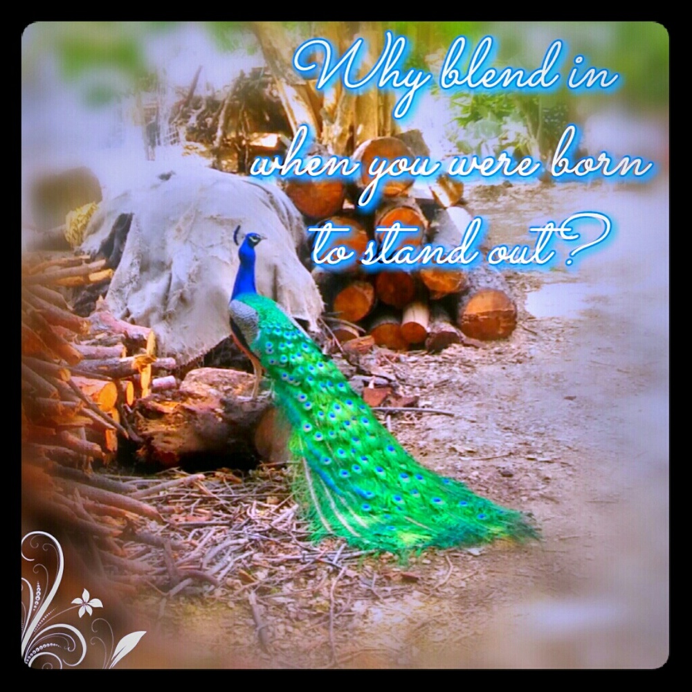 All Questions Welcome