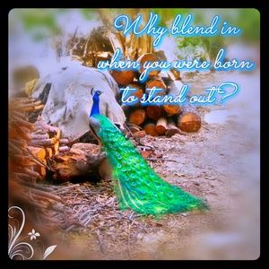 All Questions Welcome