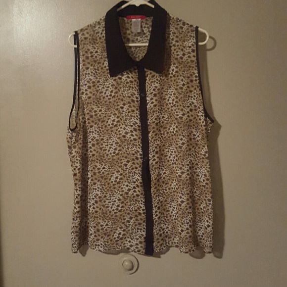 Sheer Blouse - Picture 1 of 2