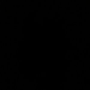 Meet your Posher, Frances