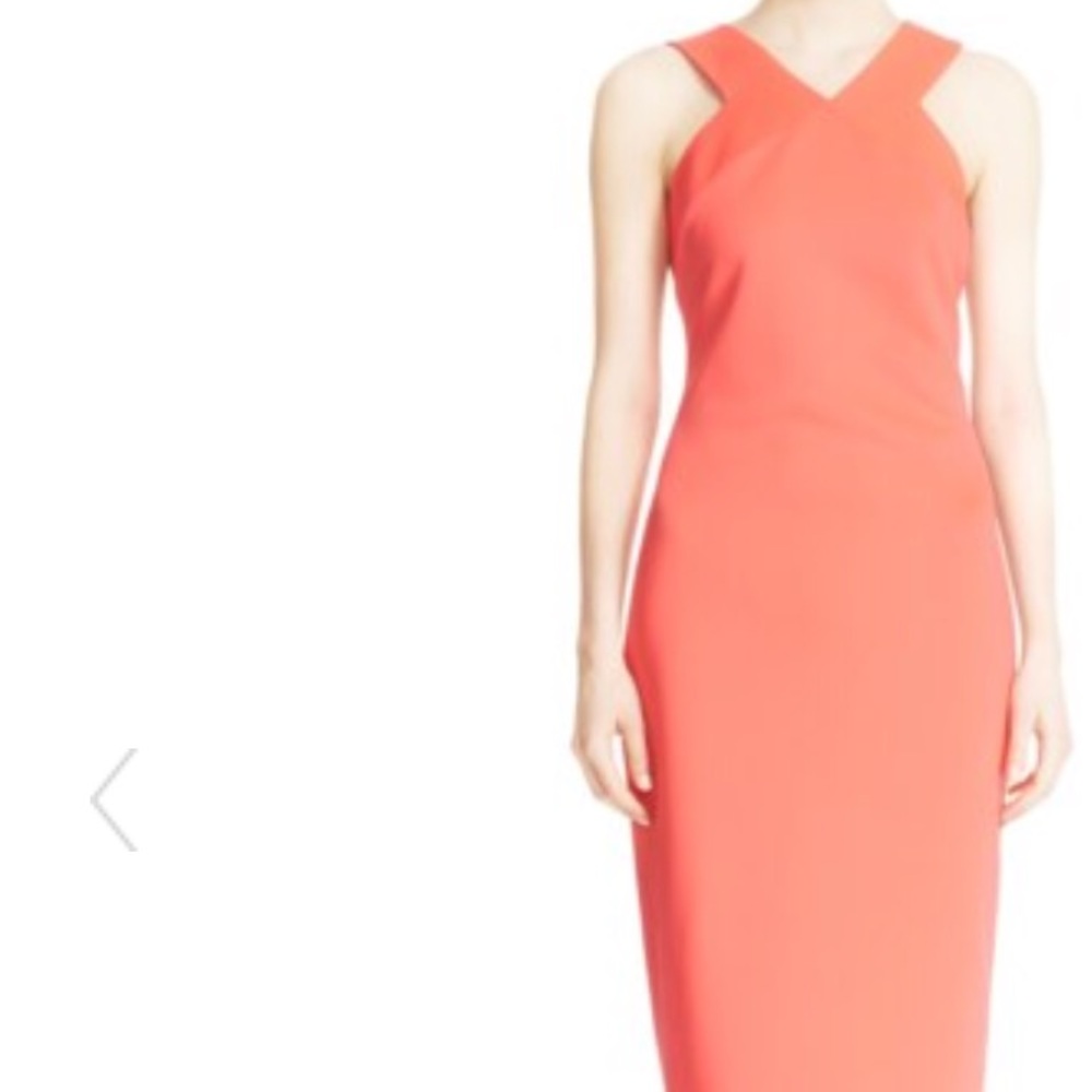 NWT💕Ted Baker Dress