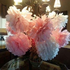 Meet your Posher, Coralee