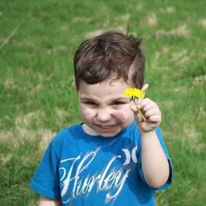 Meet your Posher, Susan