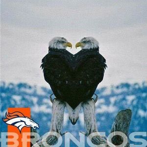 Meet your Posher, Glenora