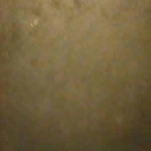 Meet your Posher, Shayla