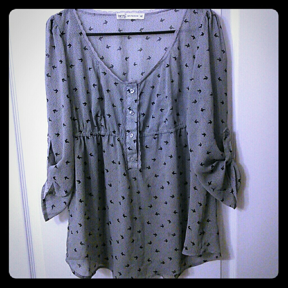 Sheer Gray Top