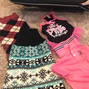 Dog Carrier & Duper Cute Clothes/Leash