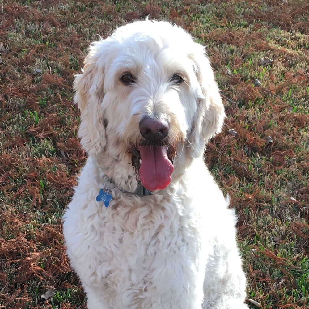 Meet your Posher, Sheri