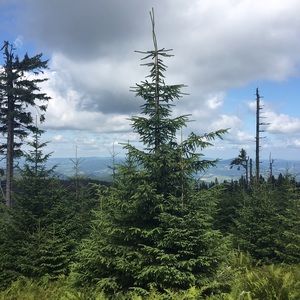 Meet your Posher, Natalia