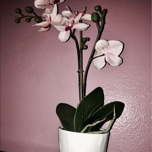 Artificial orchids
