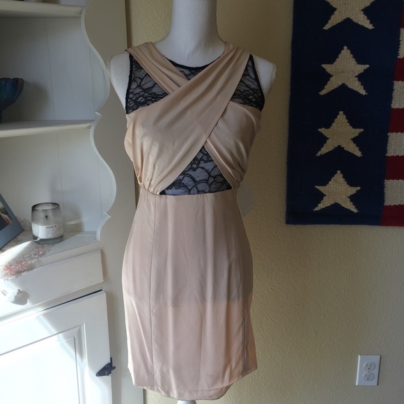 Rebecca Minkoff Blush Silk Dress - Picture 1 of 4