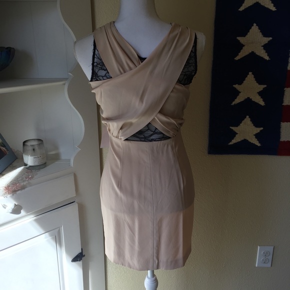 Rebecca Minkoff Blush Silk Dress - Picture 3 of 4