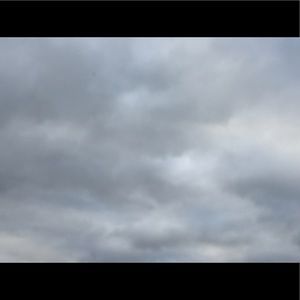 Meet your Posher, Dante