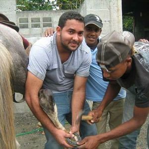 Meet your Posher, Ariel