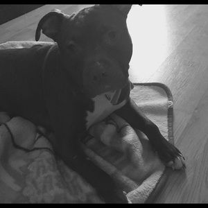 Meet your Posher, Del