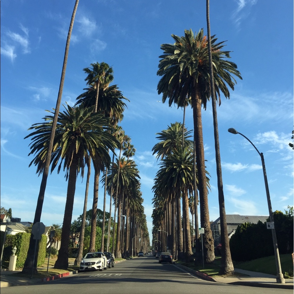 Meet your Posher, Leigh T