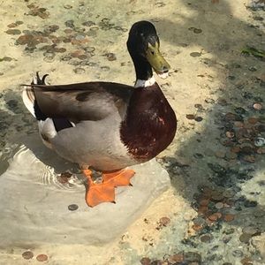 Meet your Posher, Sandra