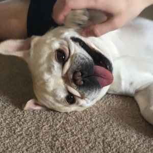 Meet your Posher, Erika