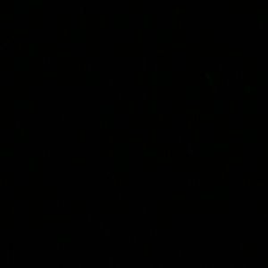 Meet your Posher, Doreen