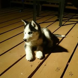 Meet your Posher, Christy