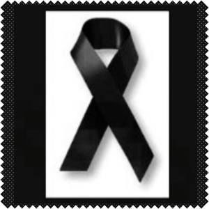 Meet your Posher, Gustavo