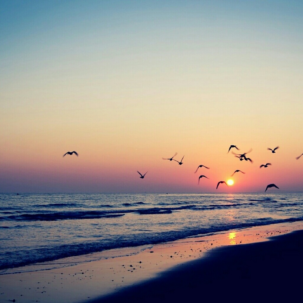 Meet your Posher, Nadia